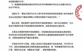 王海名誉侵权案一审宣判，法院判令王海向彩虹星球公开道歉